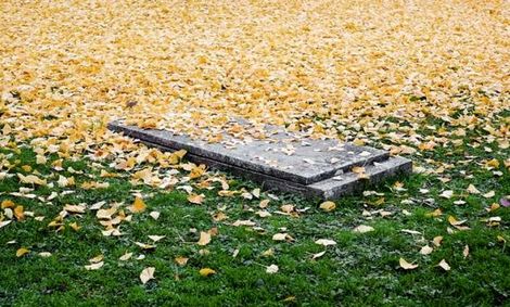 پس از مرگ چه اتفاقی برای جسم شما خواهد افتاد؟