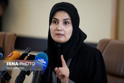 ایجاد مزاحمت برای هواپیمای مسافربری ماهان تعقیب حقوقی به دنبال دارد