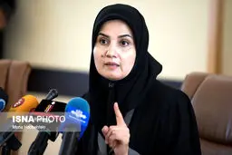 ایجاد مزاحمت برای هواپیمای مسافربری ماهان تعقیب حقوقی به دنبال دارد