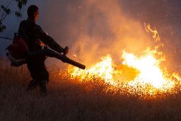 وسعت آتش‌سوزی در کوهدشت برآورد نشده است