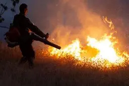 وسعت آتش‌سوزی در کوهدشت برآورد نشده است