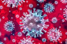 آیا احتمال آلوده بودن مواد غذایی وارداتی به کرونا وجود دارد؟