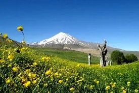 توضیحات تازه اوقاف در مورد ماجرای وقف دماوند