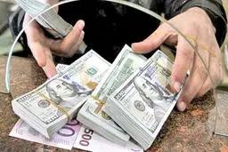 شناسایی و انهدام شبکه اخلال‌گر بازار ارز توسط وزارت اطلاعات