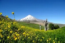 اوقاف درباره خبر وقف بخشی از کوه دماوند توضیح داد