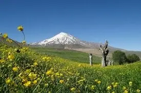 اوقاف درباره خبر وقف بخشی از کوه دماوند توضیح داد