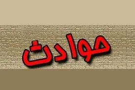 باند خطرناک ساطوری ها / زن مشهدی همه طعمه ها را شوکه می کرد