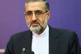 سخنگوی قوه قضاییه: زمان اجرای دقیق حکم مهدی هاشمی را نمی دانم