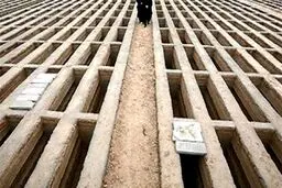 آخرین جزئیات از سلطان فروش قبر/ شاکیان به دادستانی شهرری مراجعه کنند