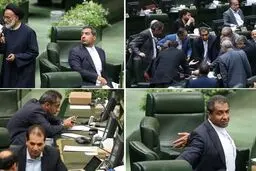 نماینده هتاک سرقت علمی هم دارد!