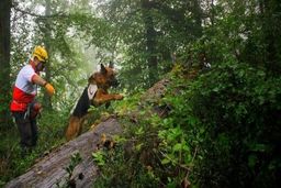 کشف جسد یک زن در ارتفاعات جهان‌نما/ آیا جسد متعلق به «سها رضانژاد» است؟