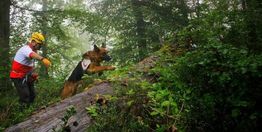 کشف جسد یک زن در ارتفاعات جهان‌نما/ آیا جسد متعلق به «سها رضانژاد» است؟