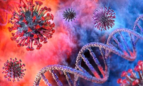 برگزاری مجالس عروسی و ترحیم در اردبیل ممنوع شد