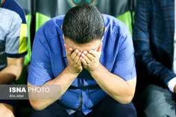 کسی قلعه‌نویی را می‌خواهد؟