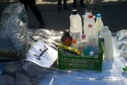 ترکیب “مرگ موش” با “ماری‌جوانا” توسط قاچاقچیان/ “کمیکال” مخدری با قدرت تخریبی ۱۰۰ برابری!