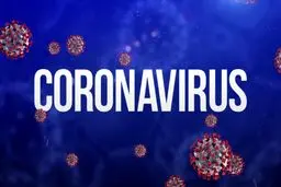 شمار مبتلایان به کرونا در جهان از ۲۲ میلیون نفر هم گذشت+ جدول