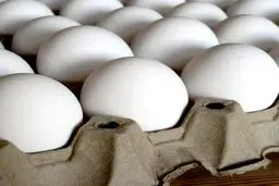 قیمت تمام شده هر کیلو تخم مرغ ۱۴هزار تومان است