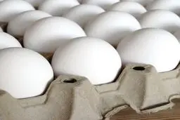 قیمت تمام شده هر کیلو تخم مرغ ۱۴هزار تومان است