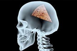 غذایی که می‌خوریم روی تفکر ما تاثیرگذار است