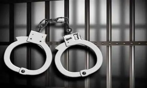 مادربزرگ قاتل دستگیر شد