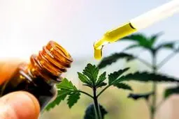 ۲ داروی گیاهی برای تسکین بیماران سرپایی کرونا مجوز گرفتند