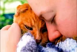 اشک‌های عجیب در فراق سگ و گربه!