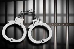 زنان پرستار نمای سارق در شمال تهران دستگیر شدند