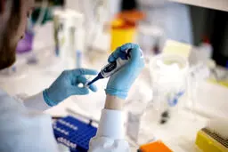نتایج امیدوارکننده واکسن کرونای استرالیایی‌ها در فاز حیوانی و بالینی