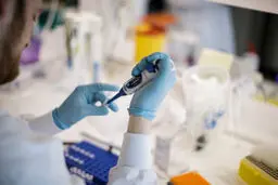 نتایج امیدوارکننده واکسن کرونای استرالیایی‌ها در فاز حیوانی و بالینی