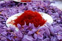 کاهش ۱۰ درصدی صادرات طلای سرخ/حداکثر قیمت هر کیلو زعفران، ۱۲ میلیون تومان است