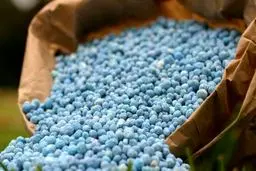 افزایش ۷برابری قیمت کودشیمیایی!