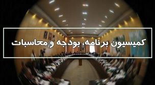 بررسی وضعیت اشتغالزایی در کشور در کمیسیون بودجه