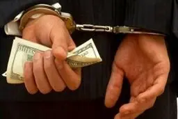 بازداشت ۱۲ اخلالگر ارزی در تهران