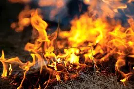 مادرشوهری که عروس ۱۶ ساله‌اش را سوزاند