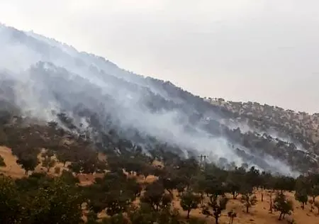 آتش سوزی در جنگل‌ها و مراتع منطقه حفاظت شده دنا