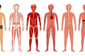 گوگل برای بدن انسان “گوگل مپس” می سازد!