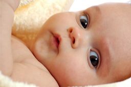 کدام استان رکورددار بیشترین فاصله ازدواج تا نخستین فرزندآوری است؟! + نمودار