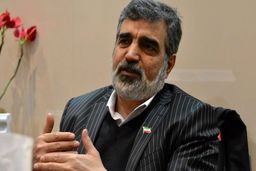 کمالوندی: نتیجه توافق با آژانس برد- برد است