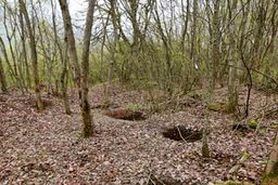 کاسبی قاچاقچیان جنگل با خاک/ این بار فرغون‌ها مأموریت حمل خاک را بر عهده گرفتند