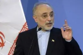 صالحی: چالش ایران و آژانس با تدبیر بزرگان نظام حل شد