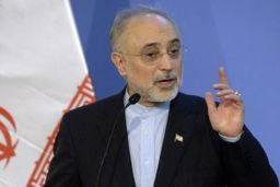 صالحی: چالش ایران و آژانس با تدبیر بزرگان نظام حل شد