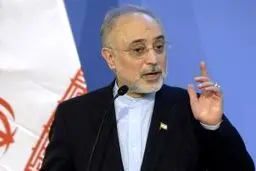 صالحی: چالش ایران و آژانس با تدبیر بزرگان نظام حل شد