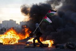 امارات و بحرین روی ریل لرزان؛ سلاخی خائنانه حقوق ملت فلسطین