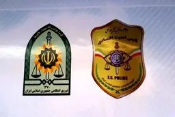 ناجا: کشف بیش از ۲۵۰ هزار عدد انواع ماسک/ دستگیری ۱۱ محتکر