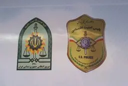 ناجا: کشف بیش از ۲۵۰ هزار عدد انواع ماسک/ دستگیری ۱۱ محتکر