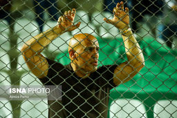 منصوریان سرمربی تراکتور شد