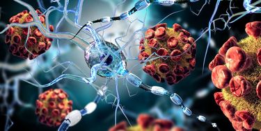 افرادی که بیشتر از دیگران در معرض کرونا و عوارض شدید آن هستند