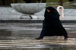 عبور سامانه بارشی از نوار شمالی کشور طی هفته آینده
