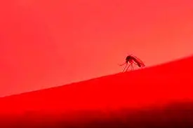 ویروس‌هایی که ترکیب آنها به بروز سکته منجر می‌شود