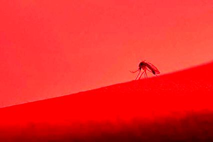 ویروس‌هایی که ترکیب آنها به بروز سکته منجر می‌شود